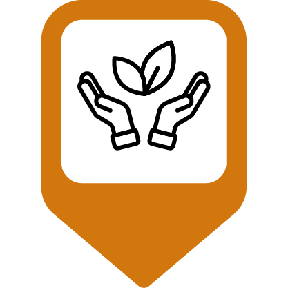 Hands holding a leaf