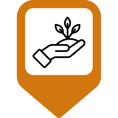 Hand holding a plant growing from soil