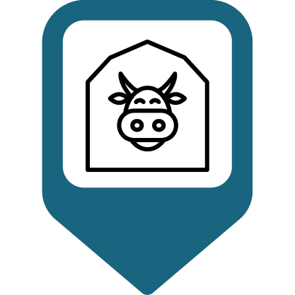 A cow head in a shed