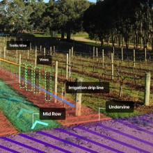 An image of a vine row with highlighted sections to show the component parts of headland, irrigation submain, soil moisture sensor, posts, trellis wire, vines, irrigation drip line, midrow and undervine